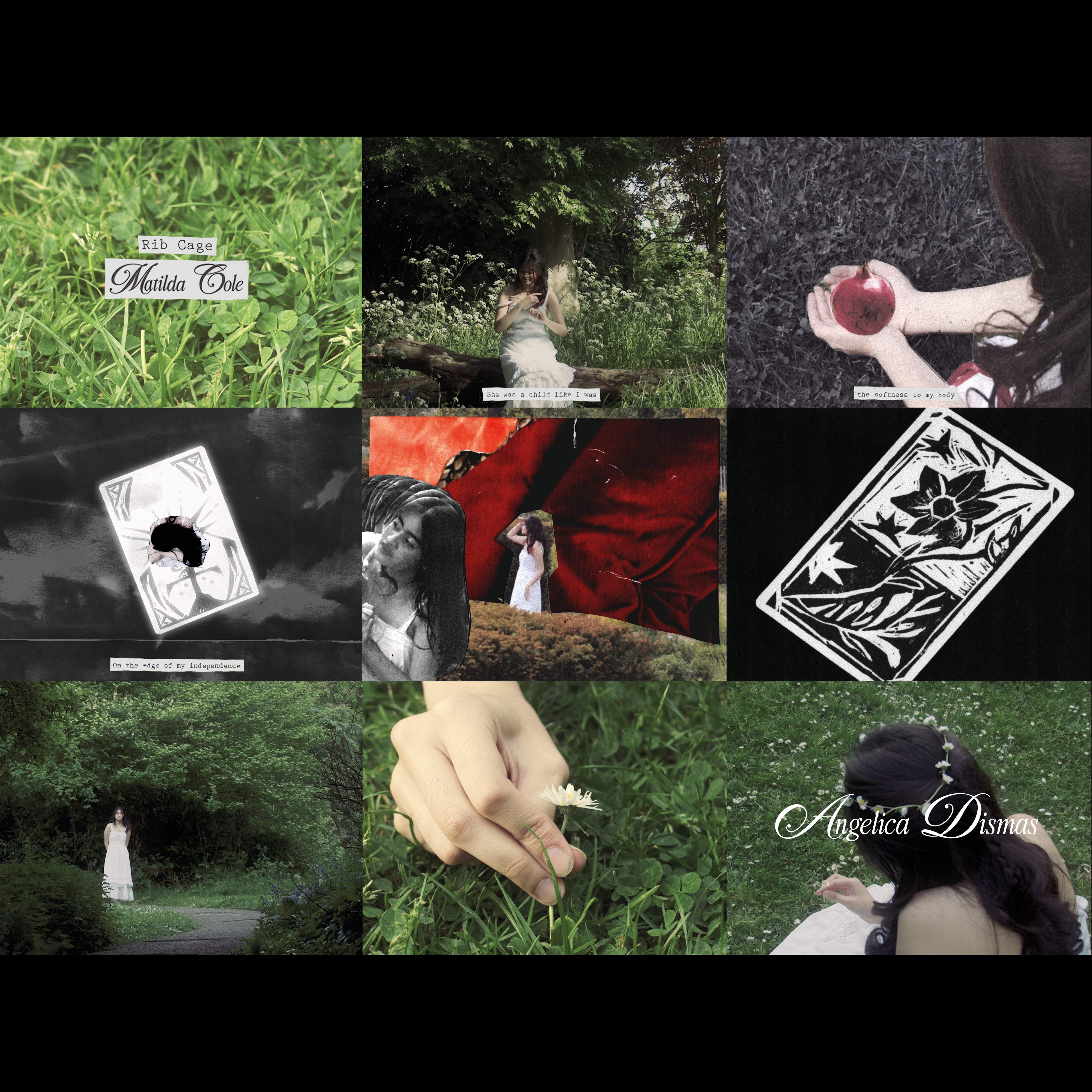 Angelica Dismas project image